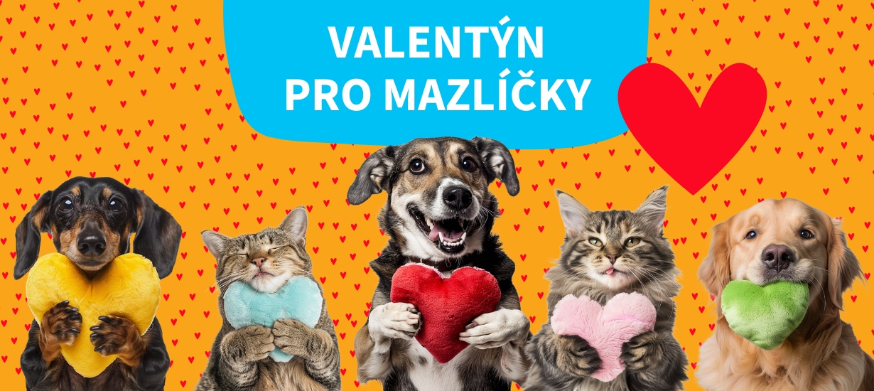 valentyn_pro_mazlicky